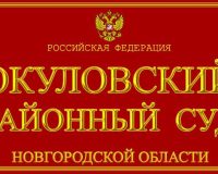 Находившаяся пять лет в розыске жительница Новгородской области приговорена к реальному сроку