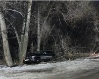 протаранила дерево
