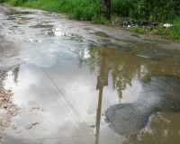 Ни дорог, ни воды надлежащего качества не было в новгородской деревне Дуброво