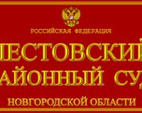 Пенсионерка из Новгородской области разобралась с другом сына