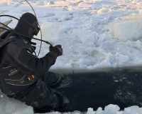 водолазы