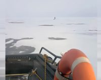 рыбак метель