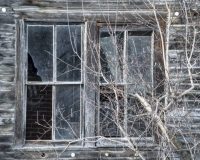 В Демянском округе сельский клуб стал «заброшкой»