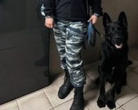 пропавшую девочку нашли кинологи