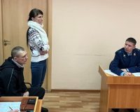 В Новгороде суд вынес приговор хозяевам стаффа, вцепившегося в лицо девочки