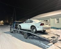 мустанг