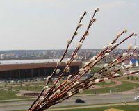 Почему воскресенье Вербное и почему в этот день нужно мириться?