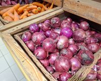 лук репчатый, красный