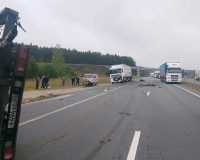 Под Пензой машина с коровами врезалась в стоящую фуру и сбила водителя