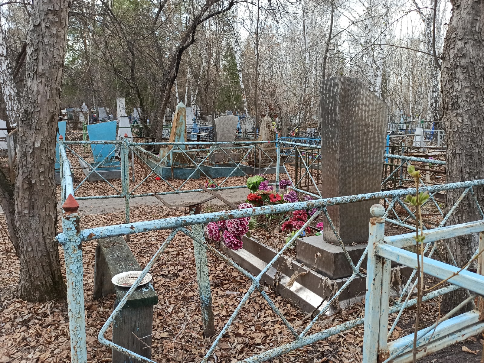 В Пензенской области конфликт из-за кладбищенских работ закончился дракой